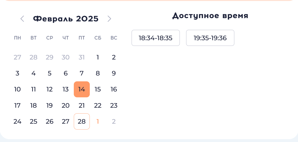Пример поля &quot;Календарь&quot; в заявке дата с таймслотами